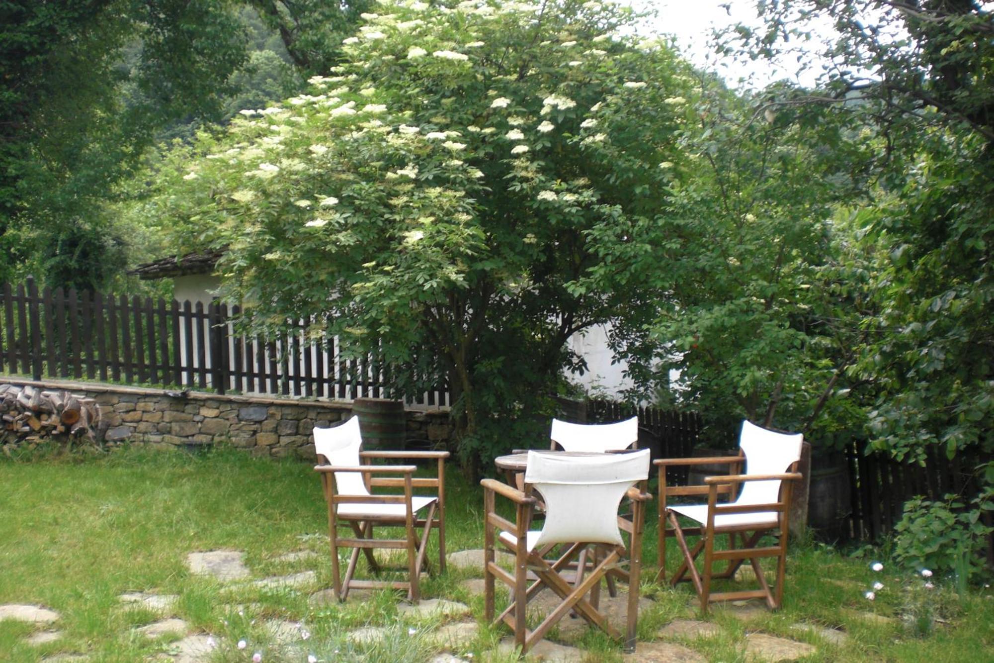 Stefanina Guesthouse Bozhentsi Exterior foto
